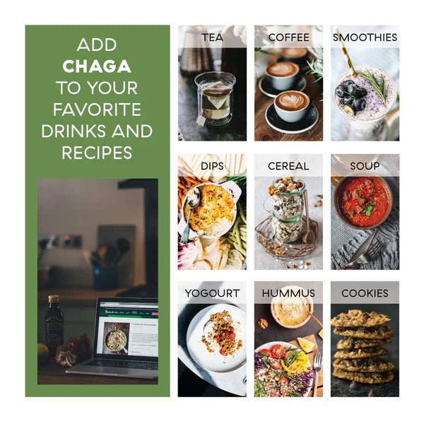 ORGANIC SIBERIAN CHAGA EXTRACT POWDER  mix in to your favorite food or beverage