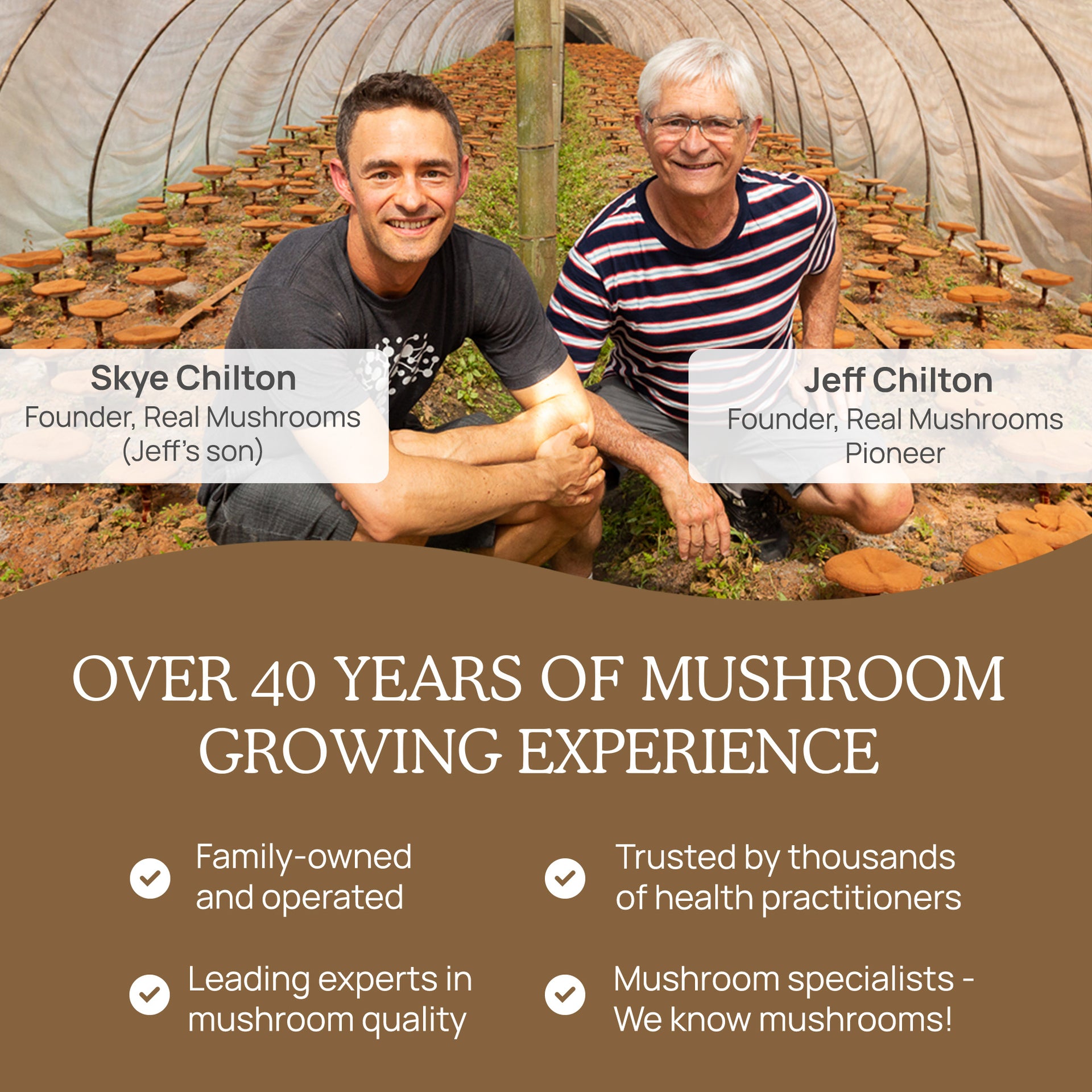 Real Mushrooms History of Mushroom Growing Experience 