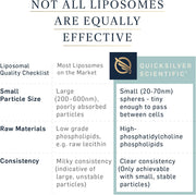 Quicksilver Scientific Vitamin C Liposomal Quality