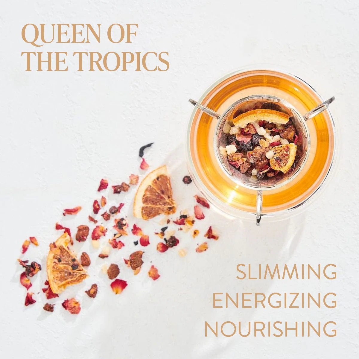 Queen of the Tropics- Rose all day herbal fruit tea