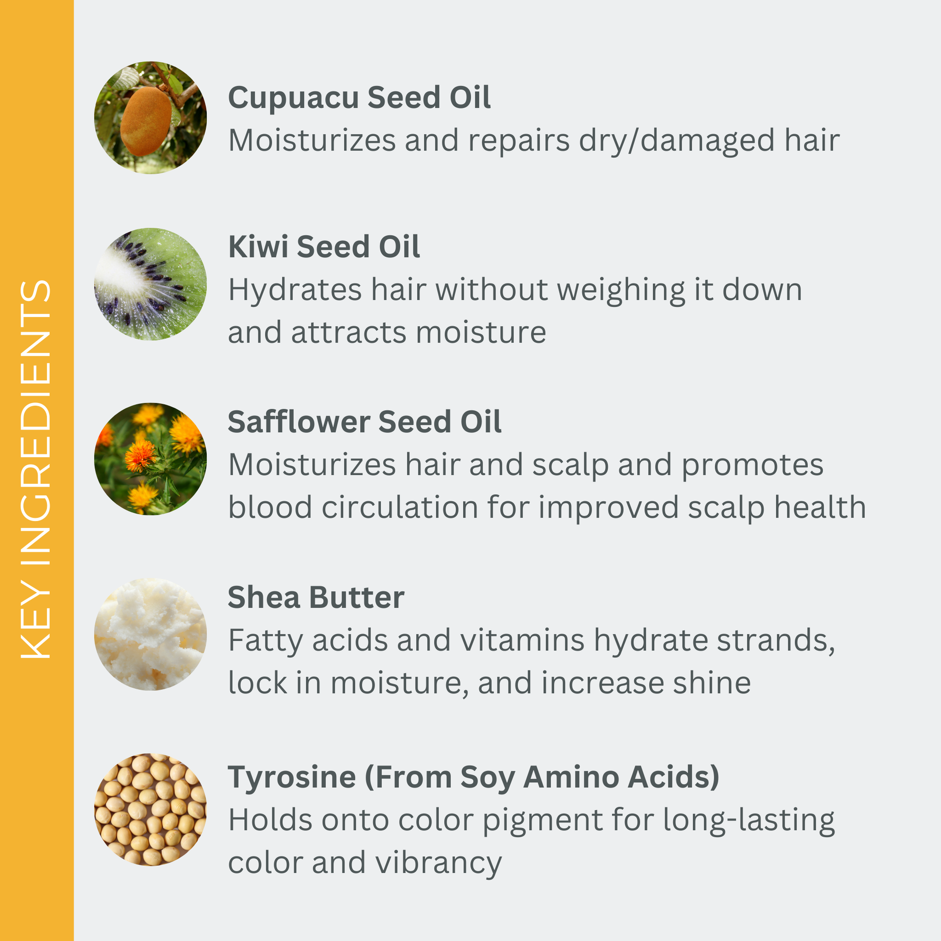 Key Ingredients of EVOLVh SmartColor Protecting Shampoo