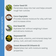 Key Ingredients of EVOLVh WonderBalm Magic for Curls 