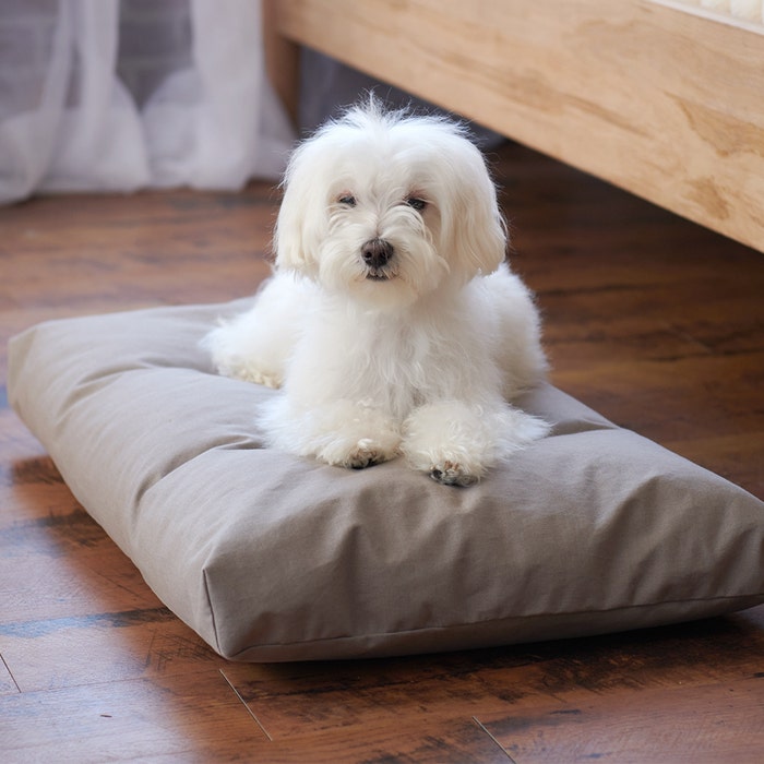 Naturepedic Organic Pet Bed with Washable Waterproof Cover 