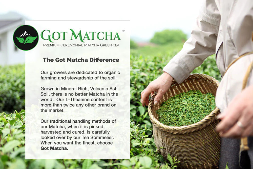 Got Matcha - Premium Matcha Gift Bundle