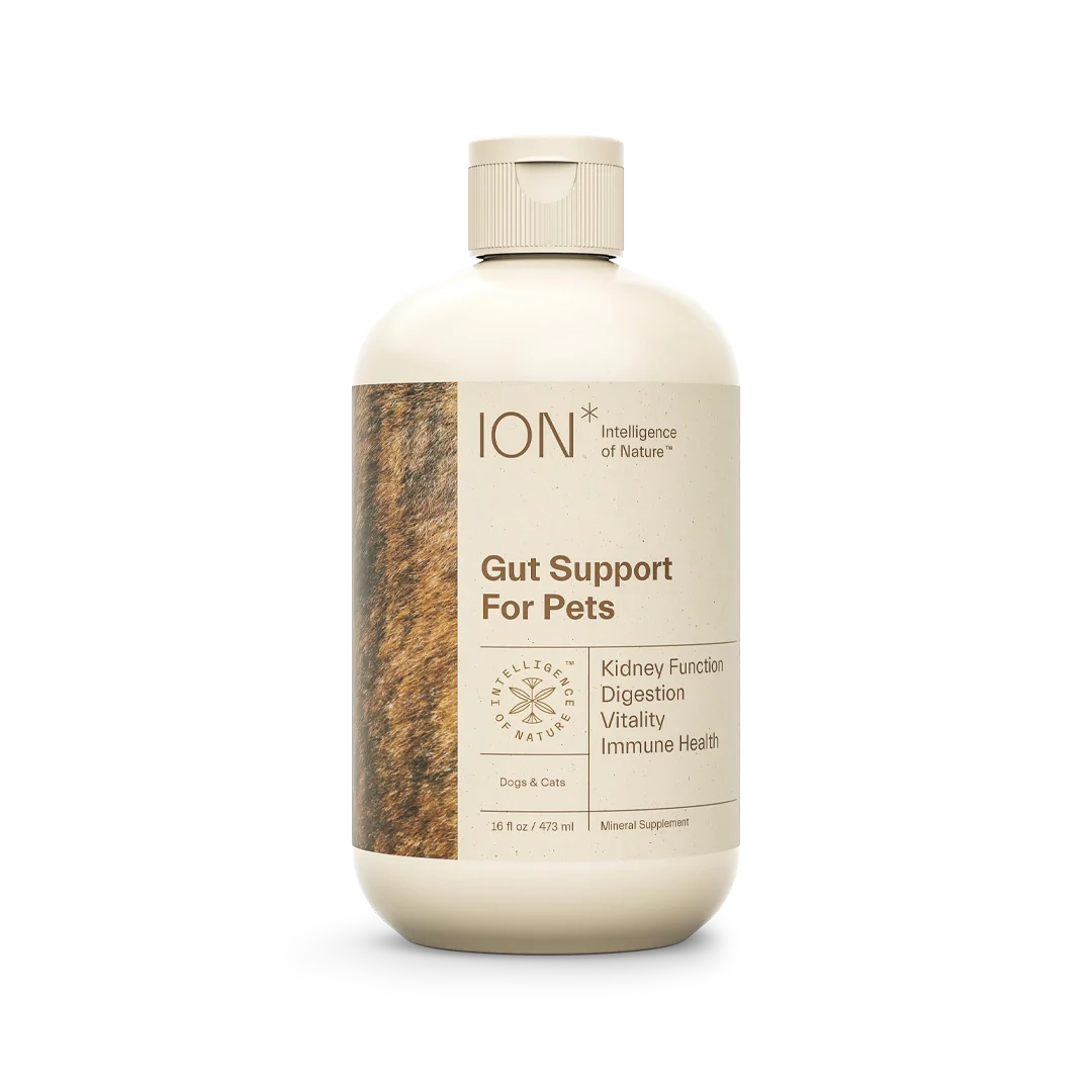 ION* Gut Support For Pets - 8 oz