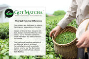 Got Matcha - Flavored Matcha Gift Set 150g bags